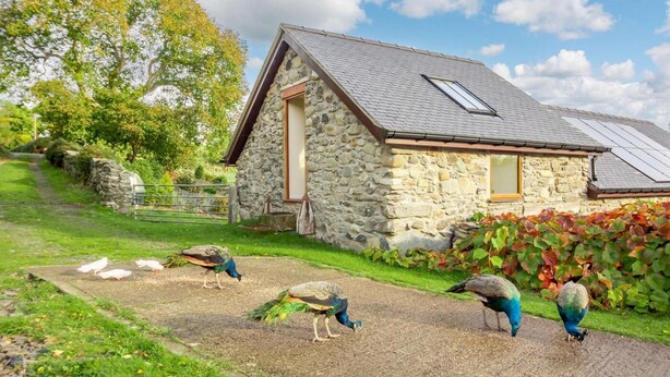 Un bâtiment en pierre avec un toit en pente et une petite fenêtre.