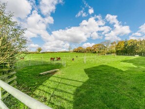 A fenced pasture with cattle, trees in the background, and a clear sky. - 1 Bed in Saltash (oc-90072) (Trerulefoot)