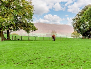 Miscellaneous - 3 Bed in Abergavenny (oc-90233) (Brynygwenin)