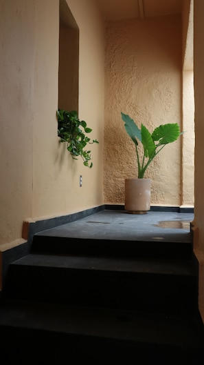 Interior - Casa Juan Álvarez  (Guadalajara)