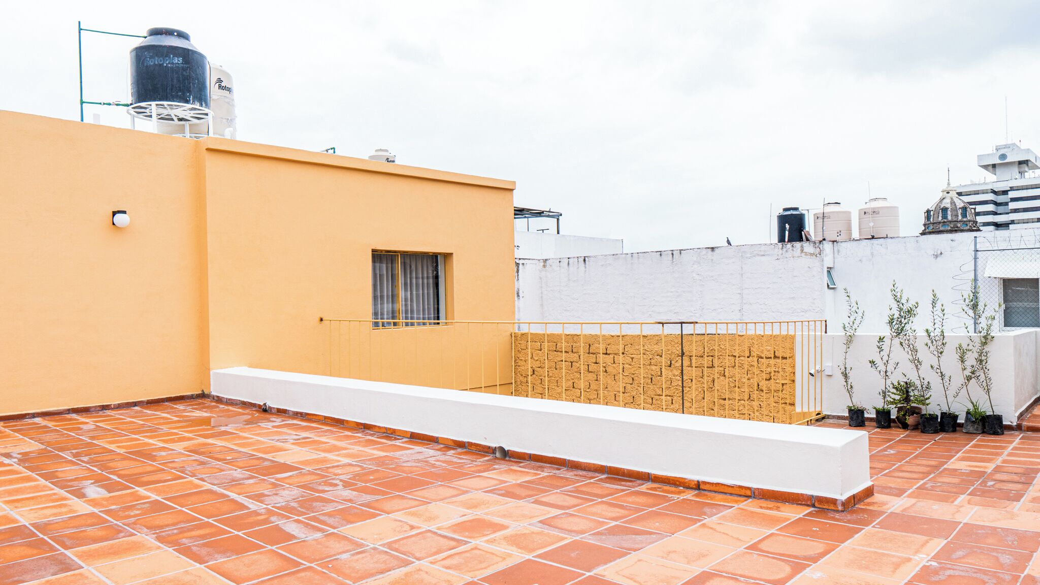 Terraza
