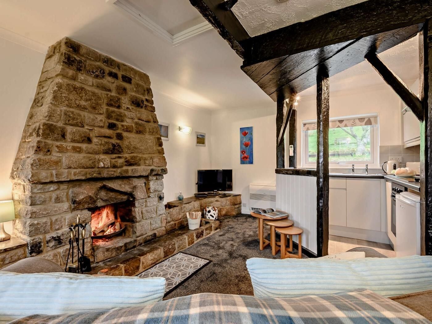 TV, fireplace