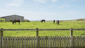 A fenced pasture with horses grazing, a wooden barn, and a clear sky. - 4 Bed in Bideford (oc-89870) (Westward Ho!)