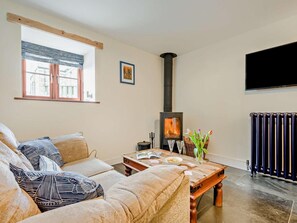 TV, fireplace - 1 Bed in Newquay (oc-89942) (Tregurrian)