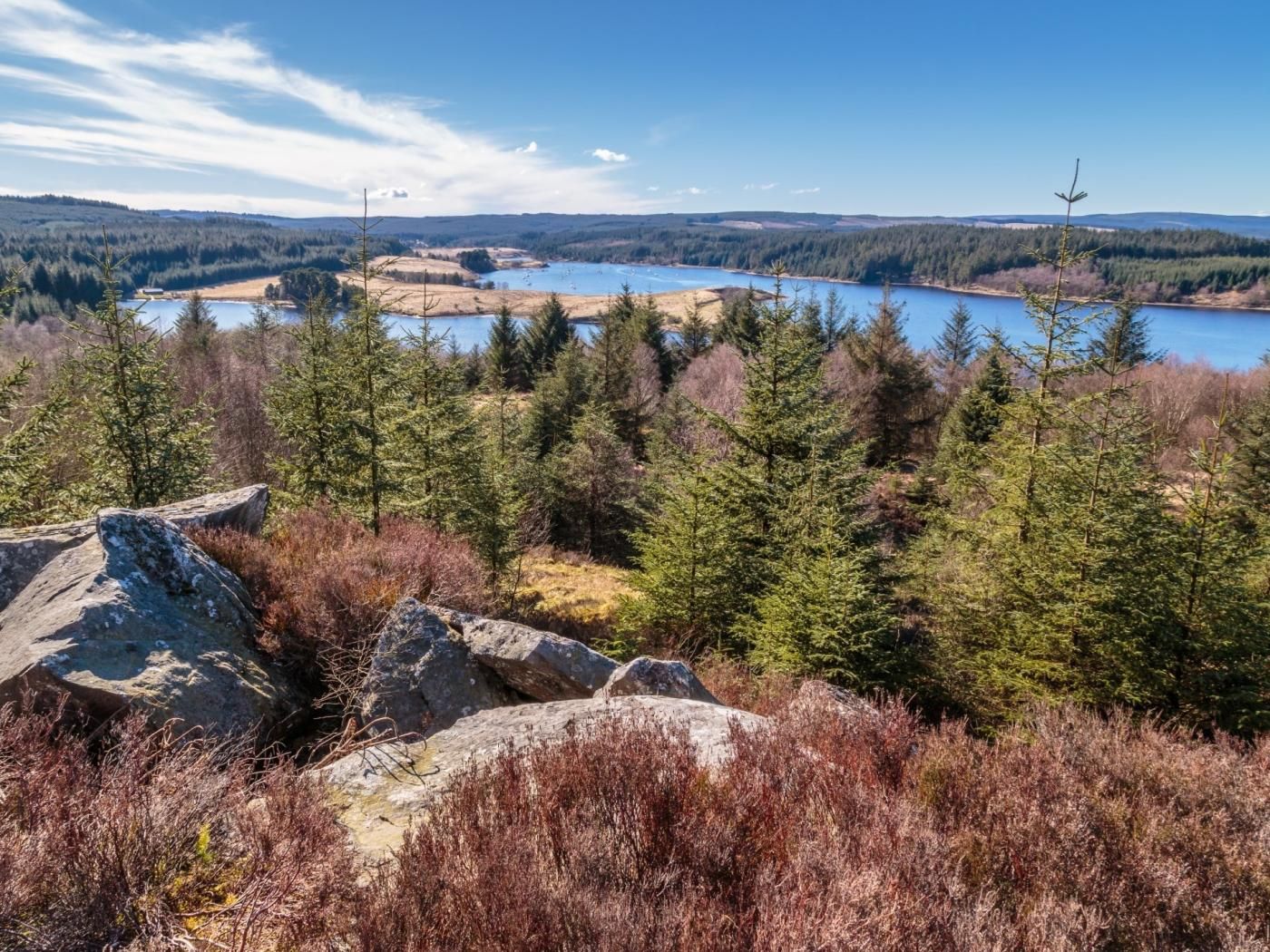 A mountainous landscape with a lake, dense forest, and rocky terrain.