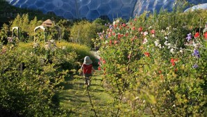 Un jardin avec un sentier menant à de grandes structures géodésiques en forme de dôme.