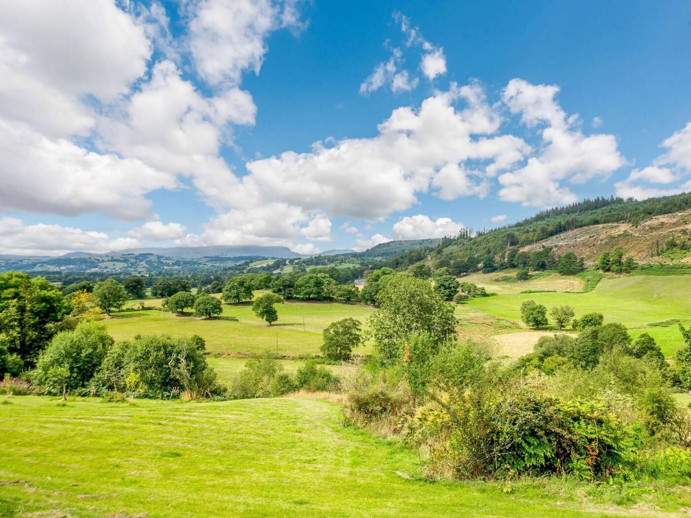 A rural landscape with rolling hills, scattered trees, and a clear sky.