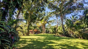Property grounds - Hidden Paradise Belize (Hopkins)