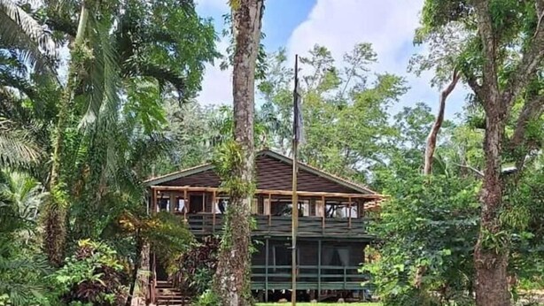 Una casa de madera rodeada de abundante vegetación y árboles.