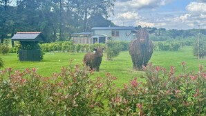 Une zone herbeuse avec deux sculptures d’animaux, un petit abri et un bâtiment en arrière-plan.