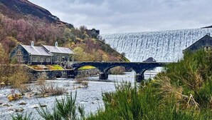Eine Brücke über einem Fluss mit einem Wasserfall im Hintergrund, umgeben von Grünpflanzen und einem historischen Gebäude.