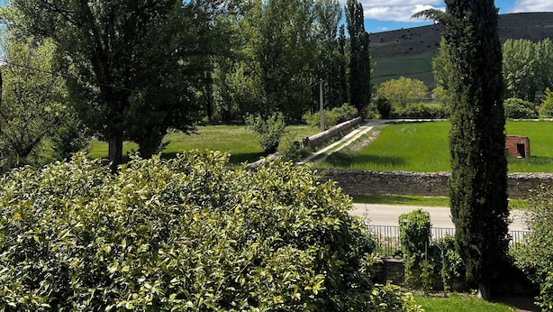 A landscape with trees, a stone wall, and a grassy field.