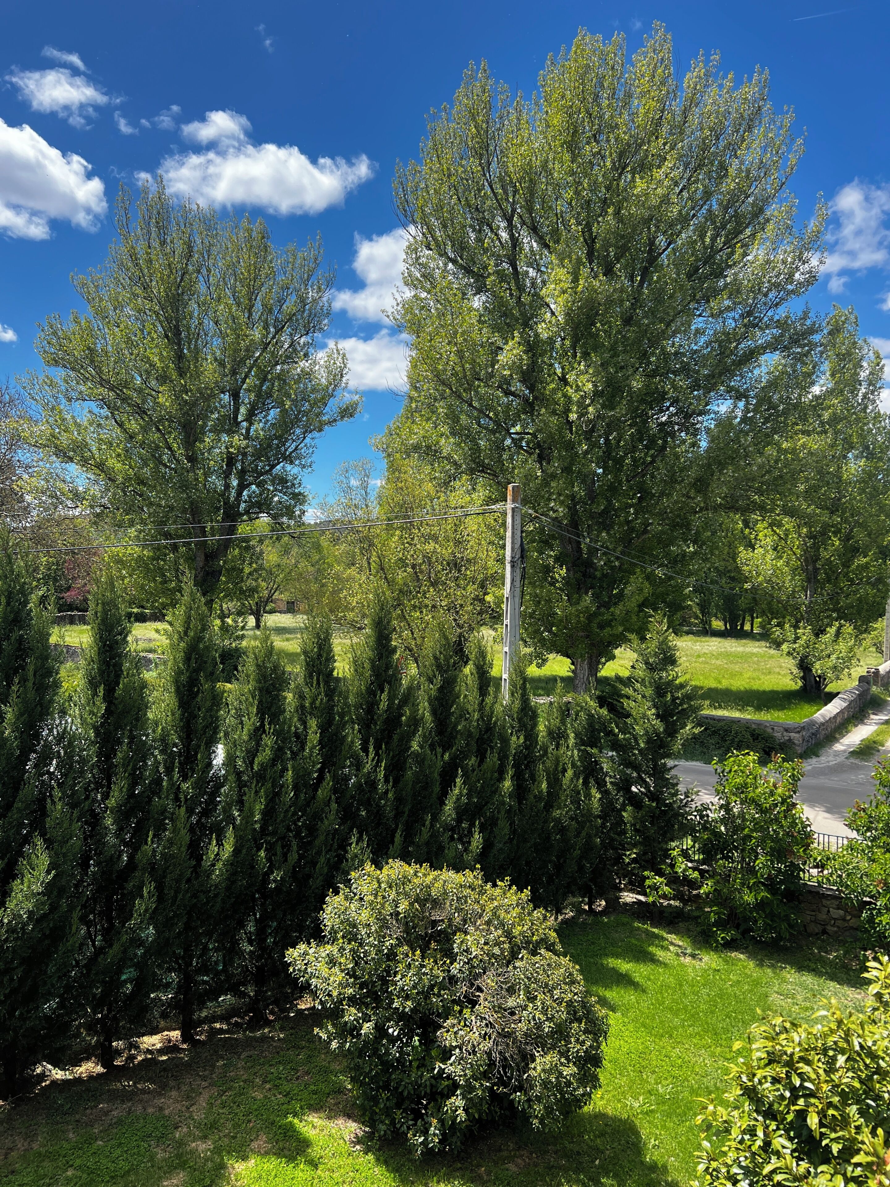 A well-maintained garden with mature trees, a stone wall, and a grassy area.