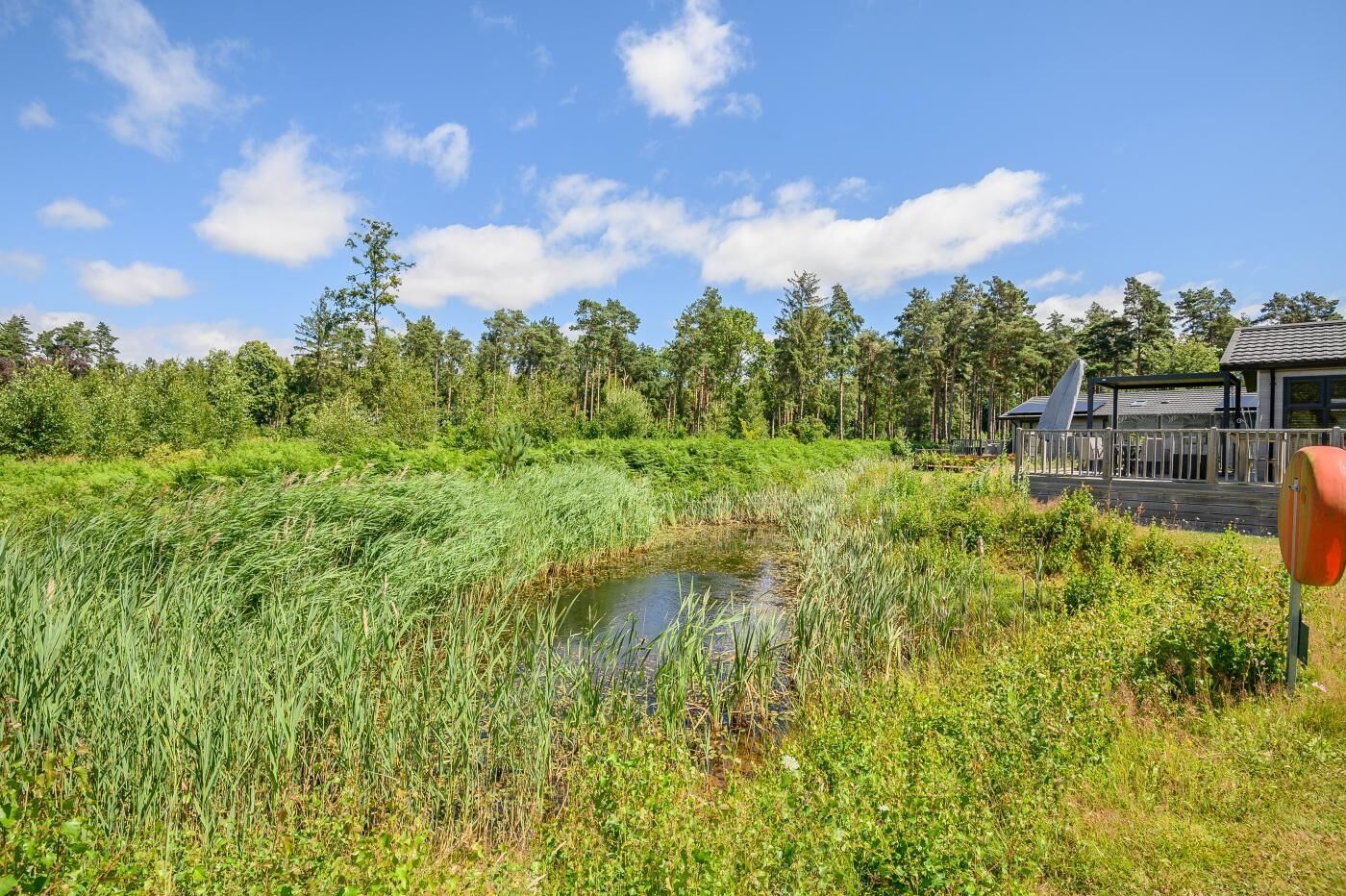 Eine natürliche Landschaft mit Teich, dichtem Grün und einer Holzstruktur im Hintergrund.