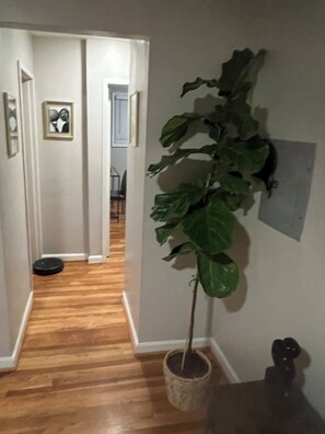 A hallway with a potted plant, a framed picture, and a black object on the floor. - Cozy 2BR Apartment with Easy Access to DC Attractions (Washington)