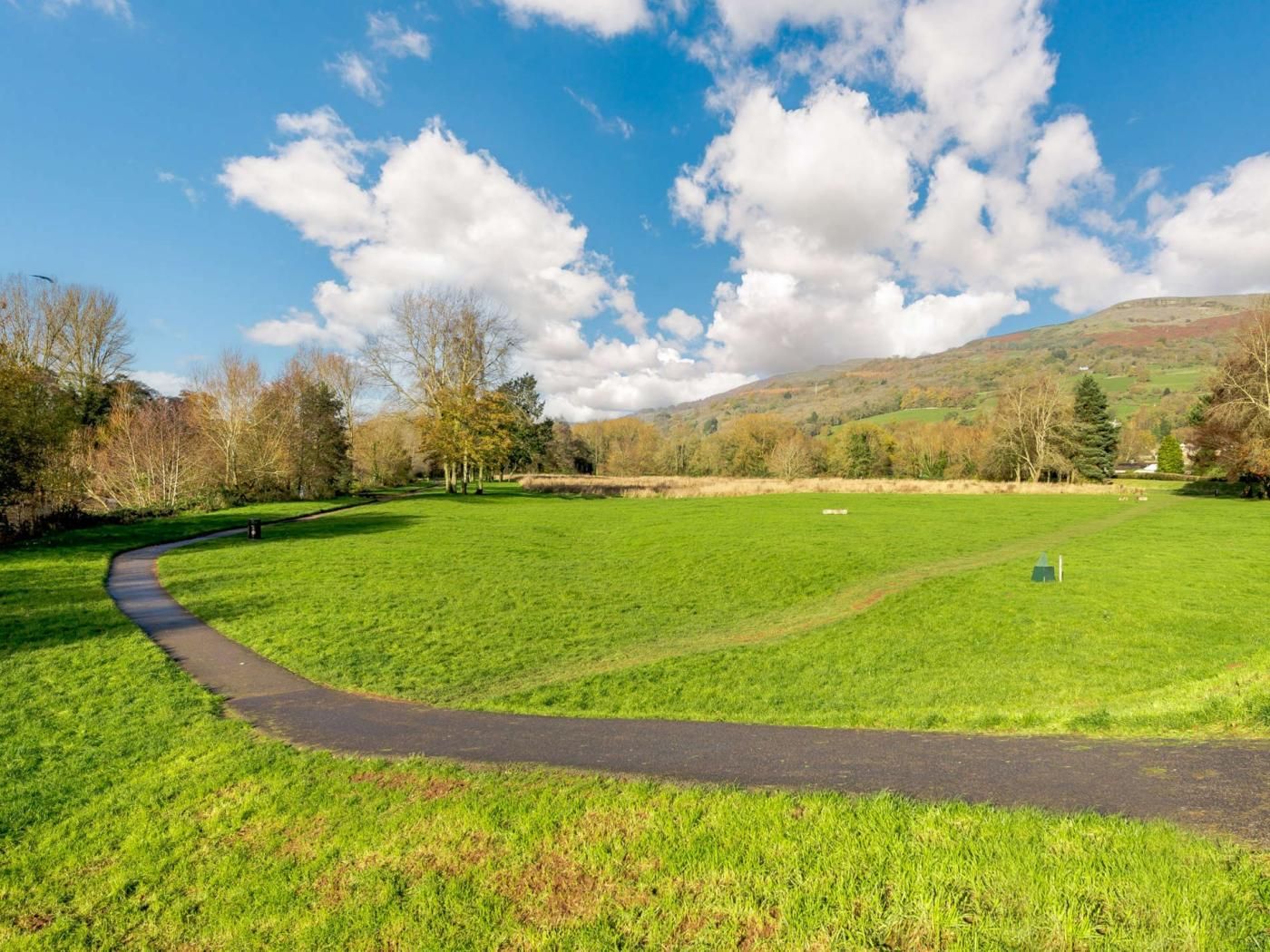 Ein grünes Feld mit einem sich schlängelnden Weg.
