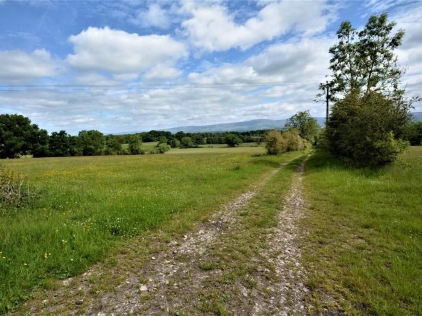 A rural landscape with a gravel path leading through a grassy field, surrounded by trees and a mountain range in the distance.