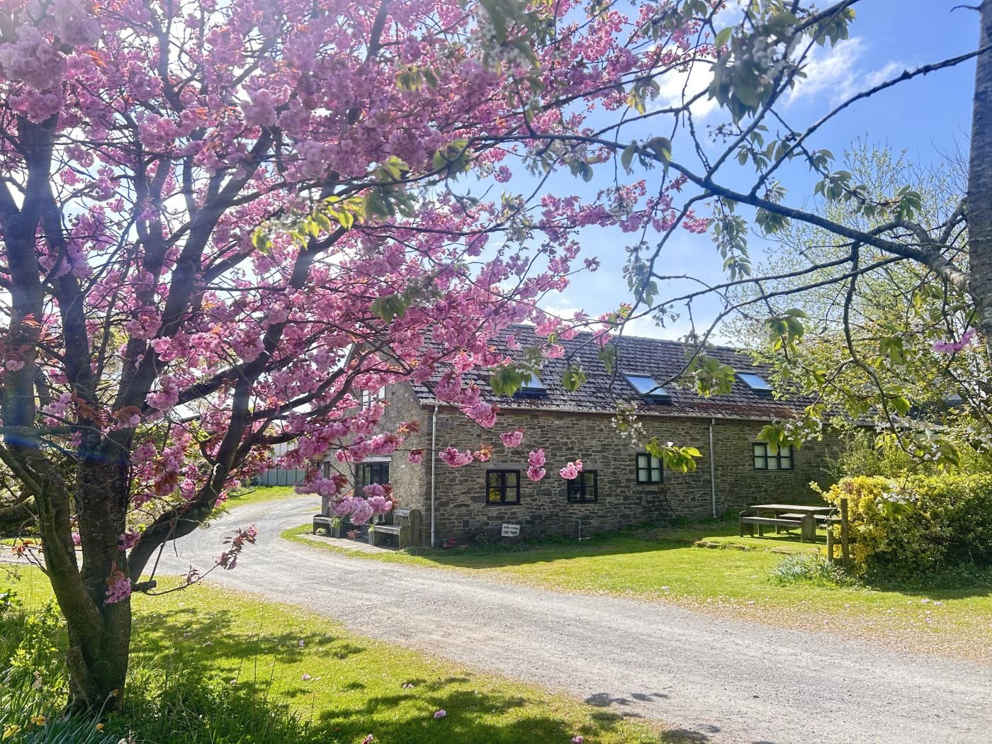 Un bâtiment en pierre avec une allée en gravier, entouré d’arbres en fleurs.