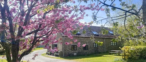 Edificio de piedra con camino de grava, rodeado de árboles en flor.