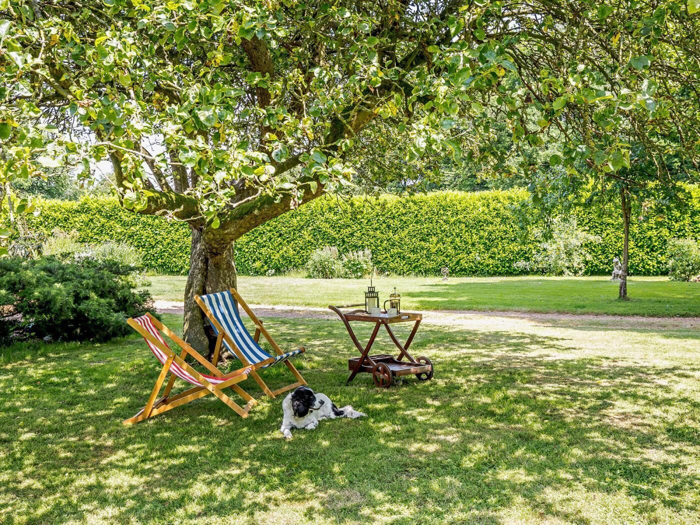 A tree-lined outdoor area with a grassy lawn, two wooden chairs, and a small table with a cup and saucer.