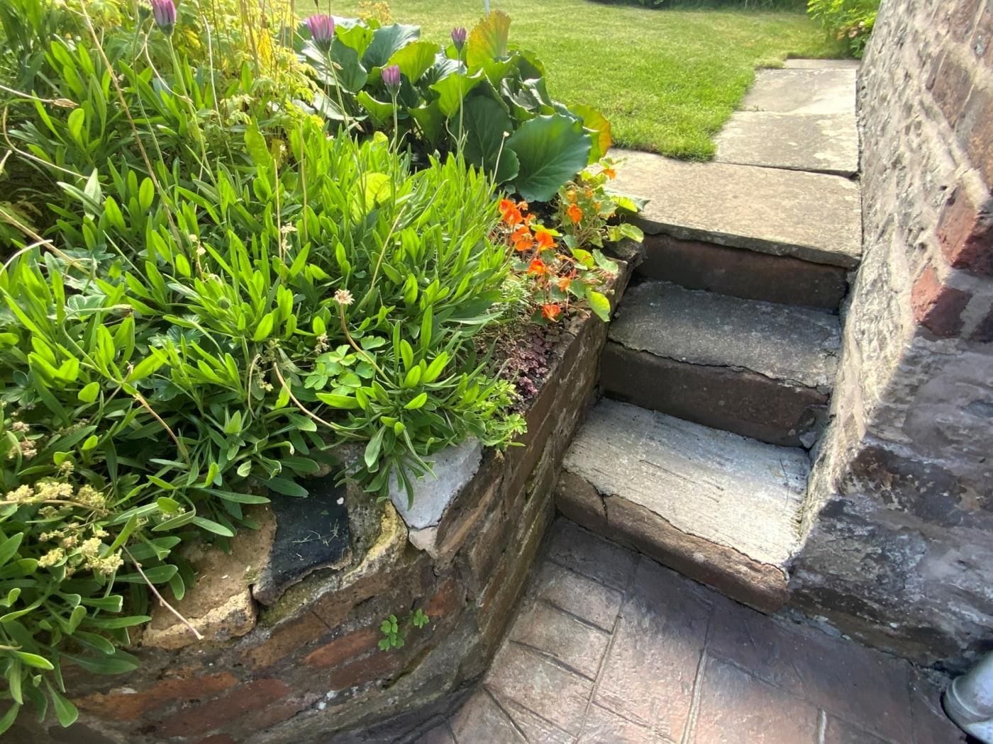 A stone staircase leading to a garden with various plants and flowers.