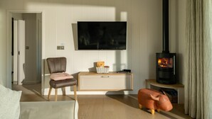 A living room with a television, a fireplace, a sofa, and a chair. - 2 Bed in Castle Douglas (oc-90821) (Auchencairn)