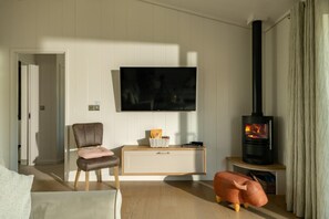 A living room with a television, a fireplace, a sofa, and a chair. - 2 Bed in Castle Douglas (oc-90821) (Auchencairn)