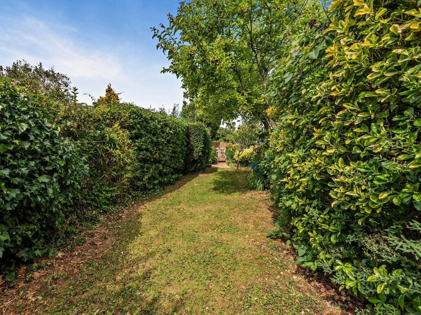 A well-maintained garden pathway with dense hedges on both sides, leading to a building in the distance.