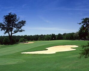 Um campo de golfe com um bunker de areia, árvores e um céu limpo.