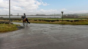 Un chemin de campagne, avec un cavalier et son cheval, des murs de pierre et un ciel dégagé.