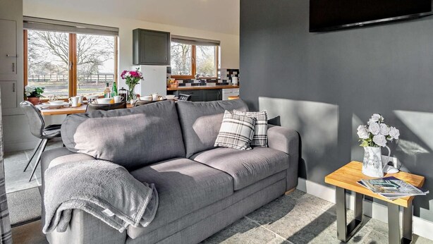 Ett modernt vardagsrum med en grå soffa, en platt-TV som är monterad på väggen och en matplats som syns genom stora fönster.