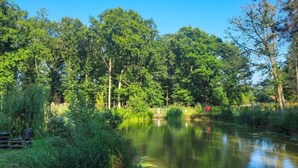 Un río tranquilo rodeado de abundante vegetación y árboles.
