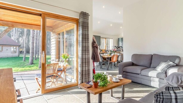 Ein modernes Wohnzimmer mit grauem Sofa, einem Holztisch und einem Essbereich mit Tisch und Stühlen.