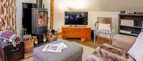 Una sala de estar acogedora con una estufa de leña, un televisor, un sofá cómodo y una estantería.