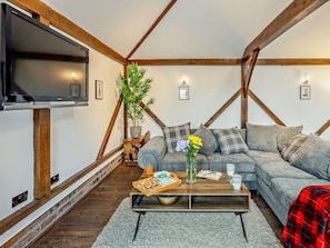 Fernseher