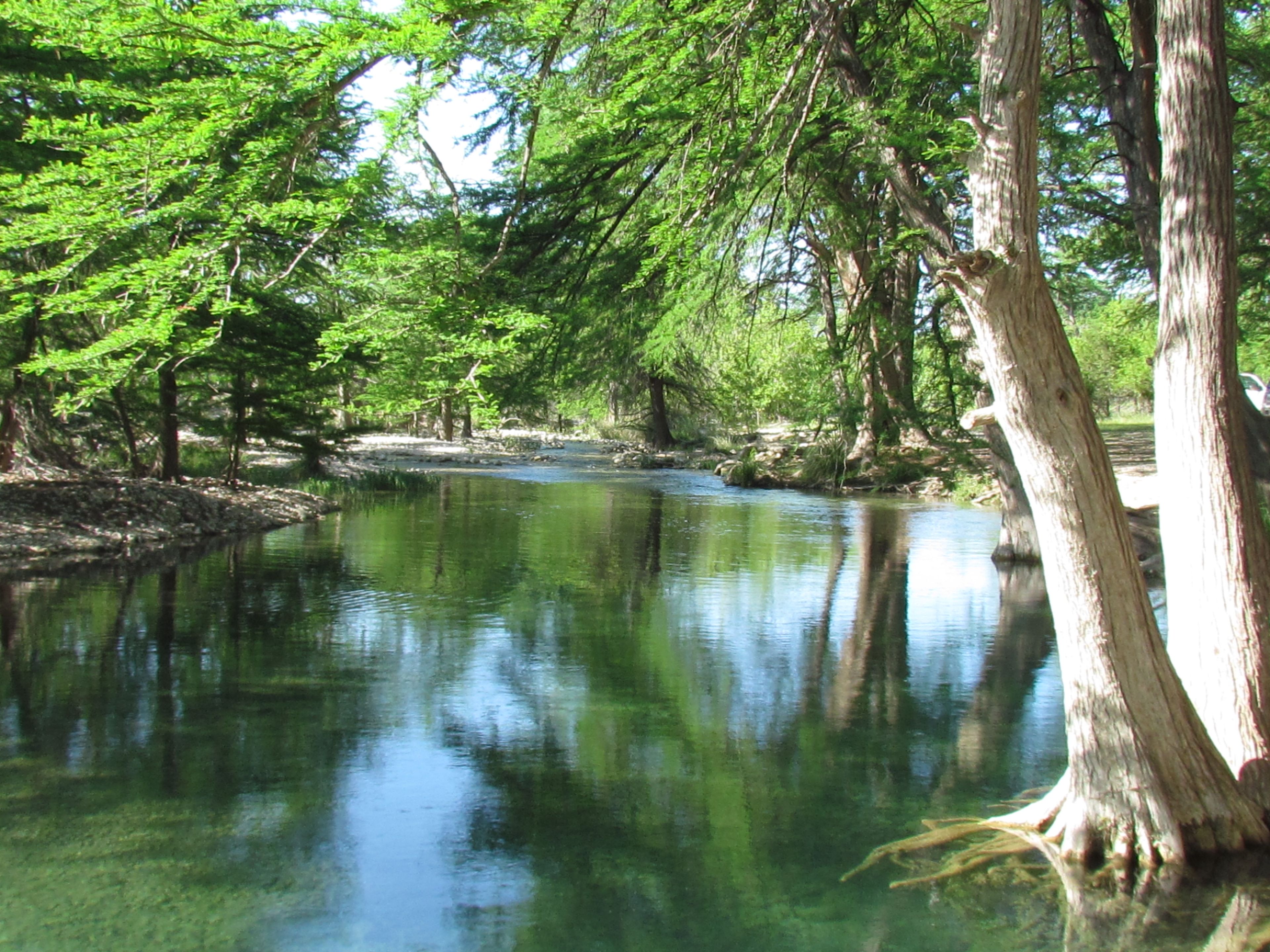 A river surrounded by trees.