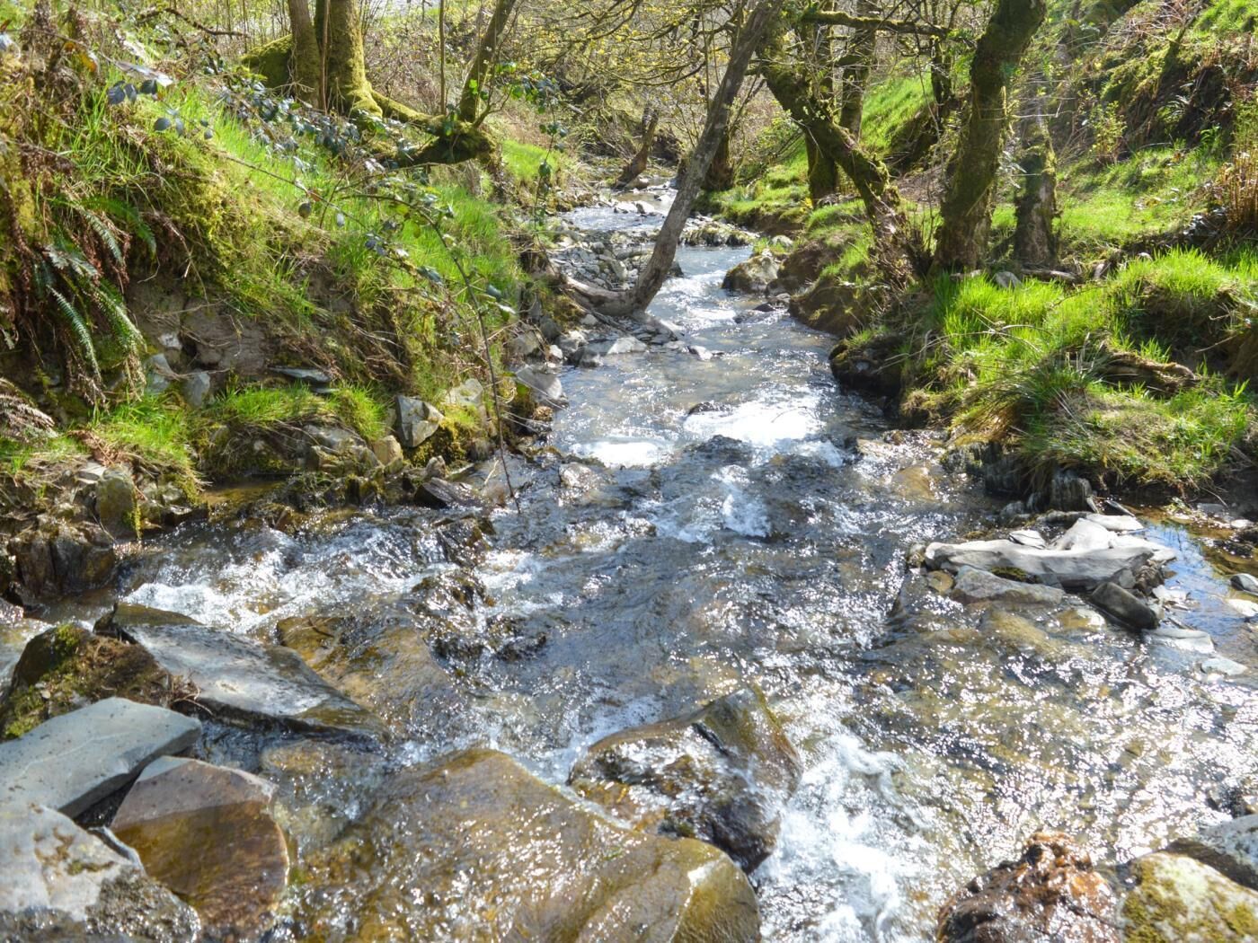 A natural stream with rocks and greenery.
