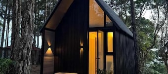 Tiny Cabin