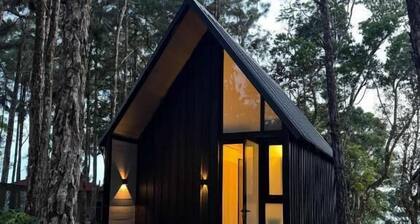 Tiny Cabin