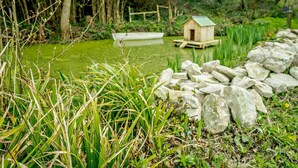 A pond with a wooden structure, surrounded by rocks and vegetation. - 1 Bed in Ventnor (oc-91536) (Godshill)