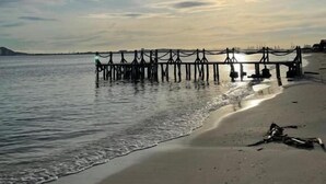 A beach with a pier extending into calm waters, a dog on the sand, and a clear sky.