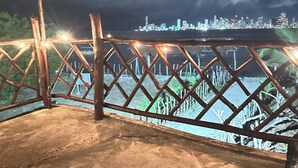 A nighttime view from a balcony with a railing, a city skyline in the background, and a flag.