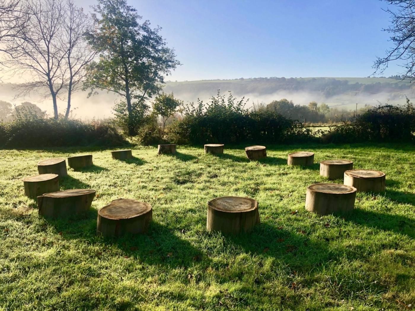 Un champ herbeux où plusieurs souches d’arbres sont disposées en cercle.