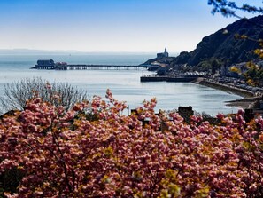 A coastal town with a pier extending into the water, a lighthouse, and a hill with vegetation in the foreground.