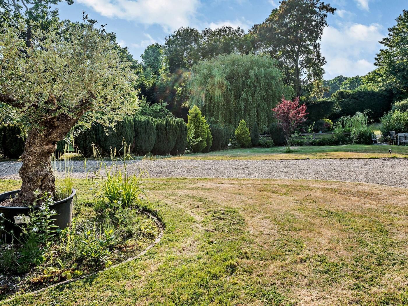 A landscaped garden with a variety of trees and shrubs, a gravel path, and a grassy area.
