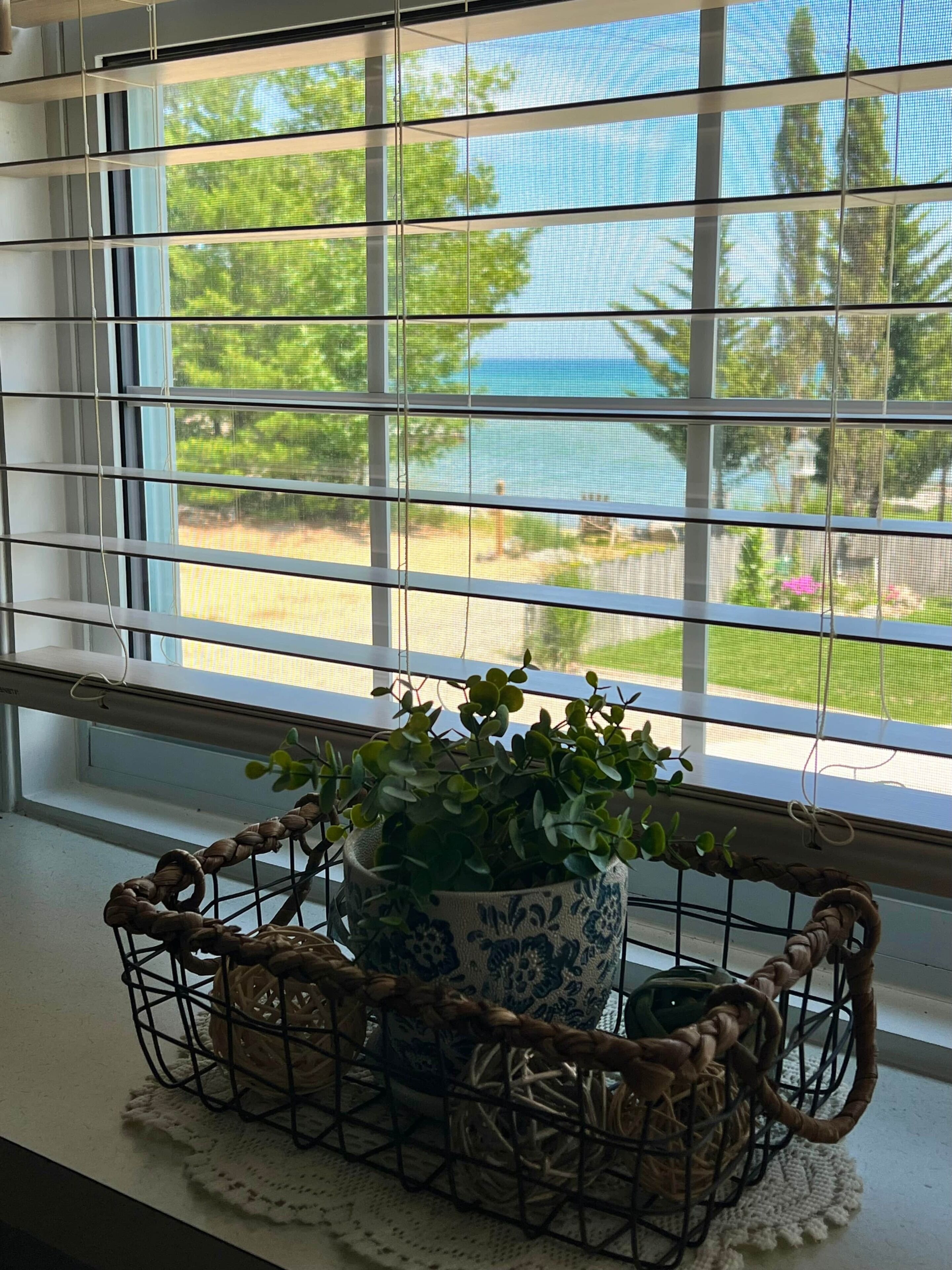 A window with a view of a garden and a blue umbrella.
