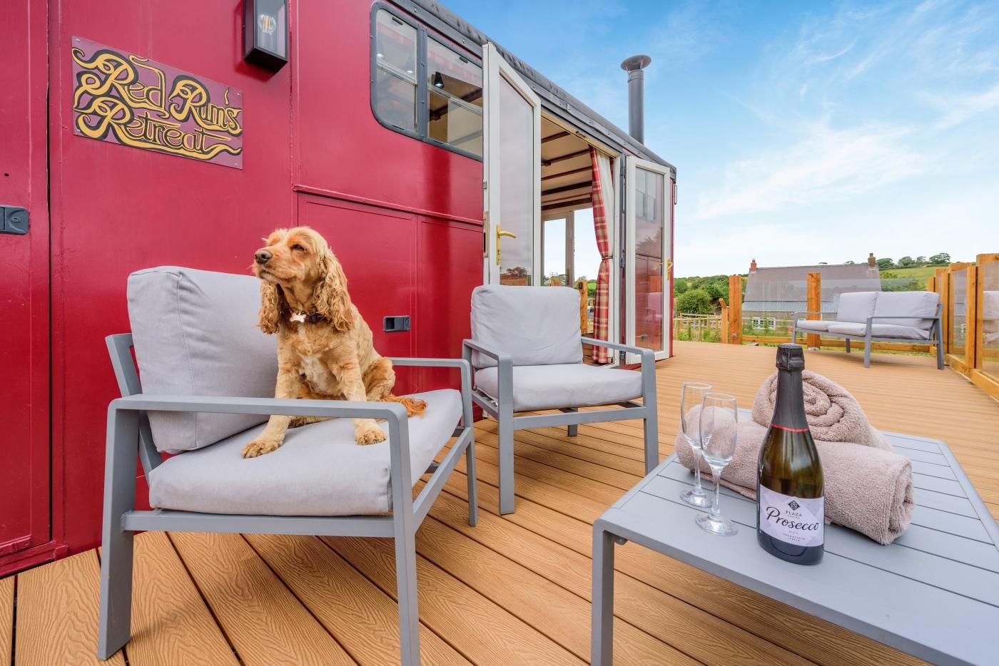 Een hond zittend op een stoel op een terras, met een fles Prosaeco en glazen.