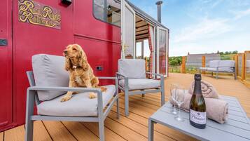 Een hond zittend op een stoel op een terras, met een fles Prosaeco en glazen.