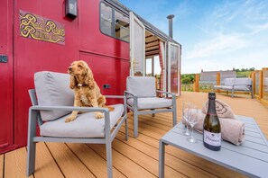 Een hond zittend op een stoel op een terras, met een fles Prosaeco en glazen.