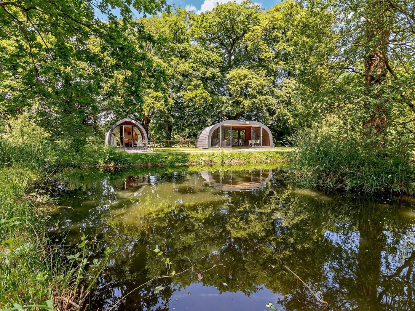 Deux cabanes en forme de dôme, dotées de murs en verre, entourées d’une végétation luxuriante et bordées d’un étang paisible.